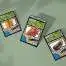 mockup of three seed packs