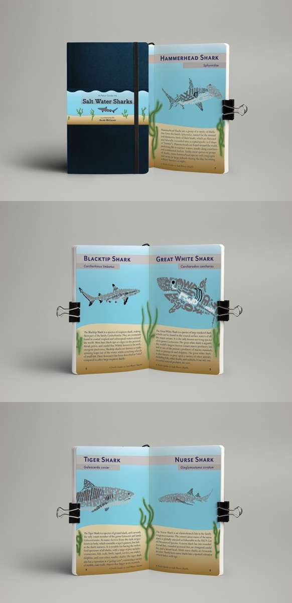 Alex_McLean_field_guide_final01 all three field guide mockups in column