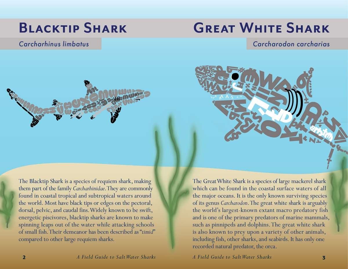 Alex_McLean_field_guide_final2-3 field guide pages 2-3