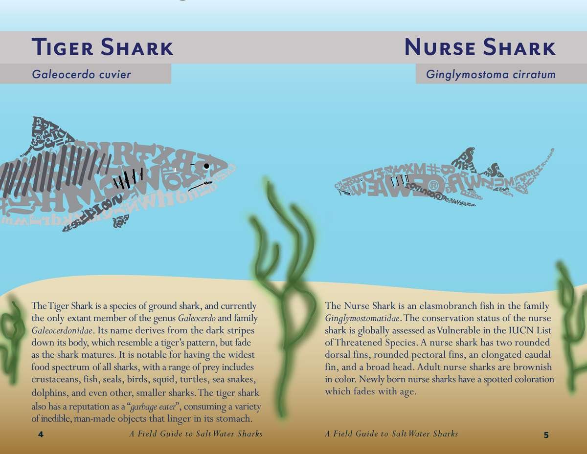 Alex_McLean_field_guide_final3-4 field guide pages 4-5