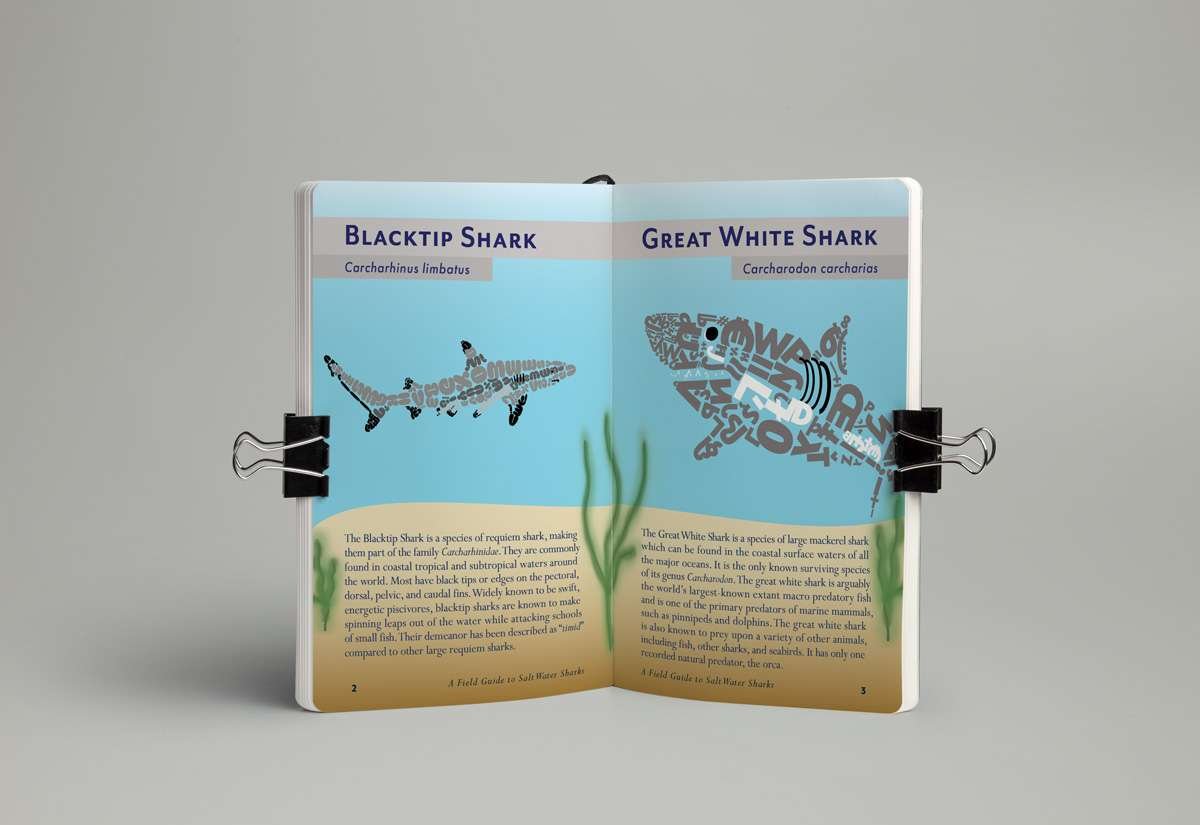 Alex_McLean_field_guide_two_page_mockup01 open field guide, gray background, blacktip shark and great white shark shown