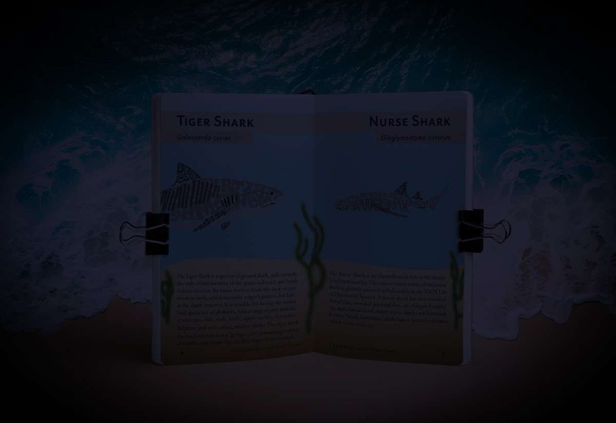 darkened mockup image for homepage slideshow