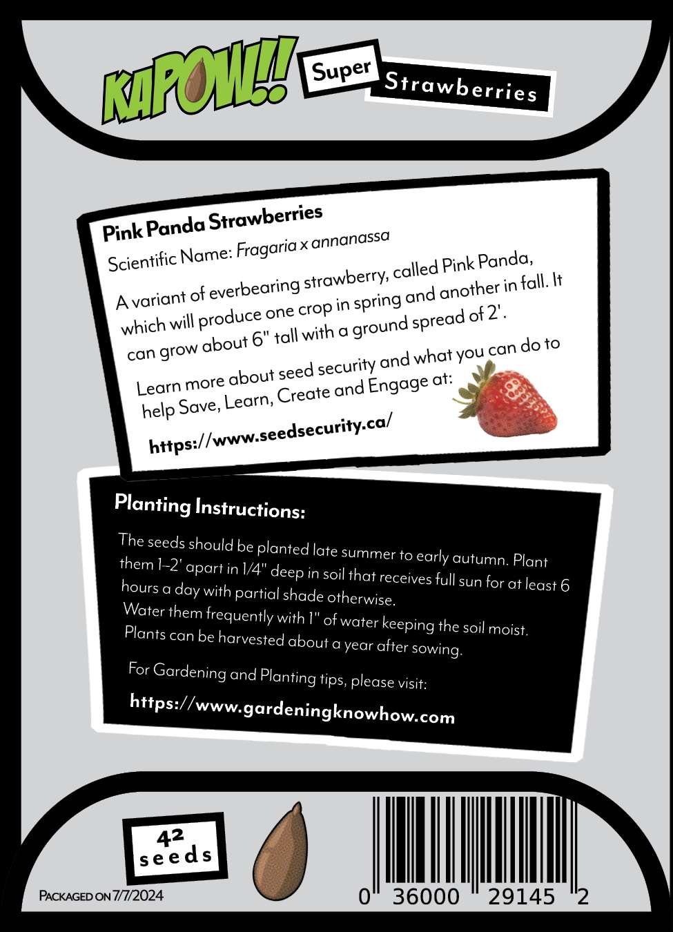 seed pack of strawberries back