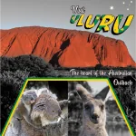 early concept of brochure cover