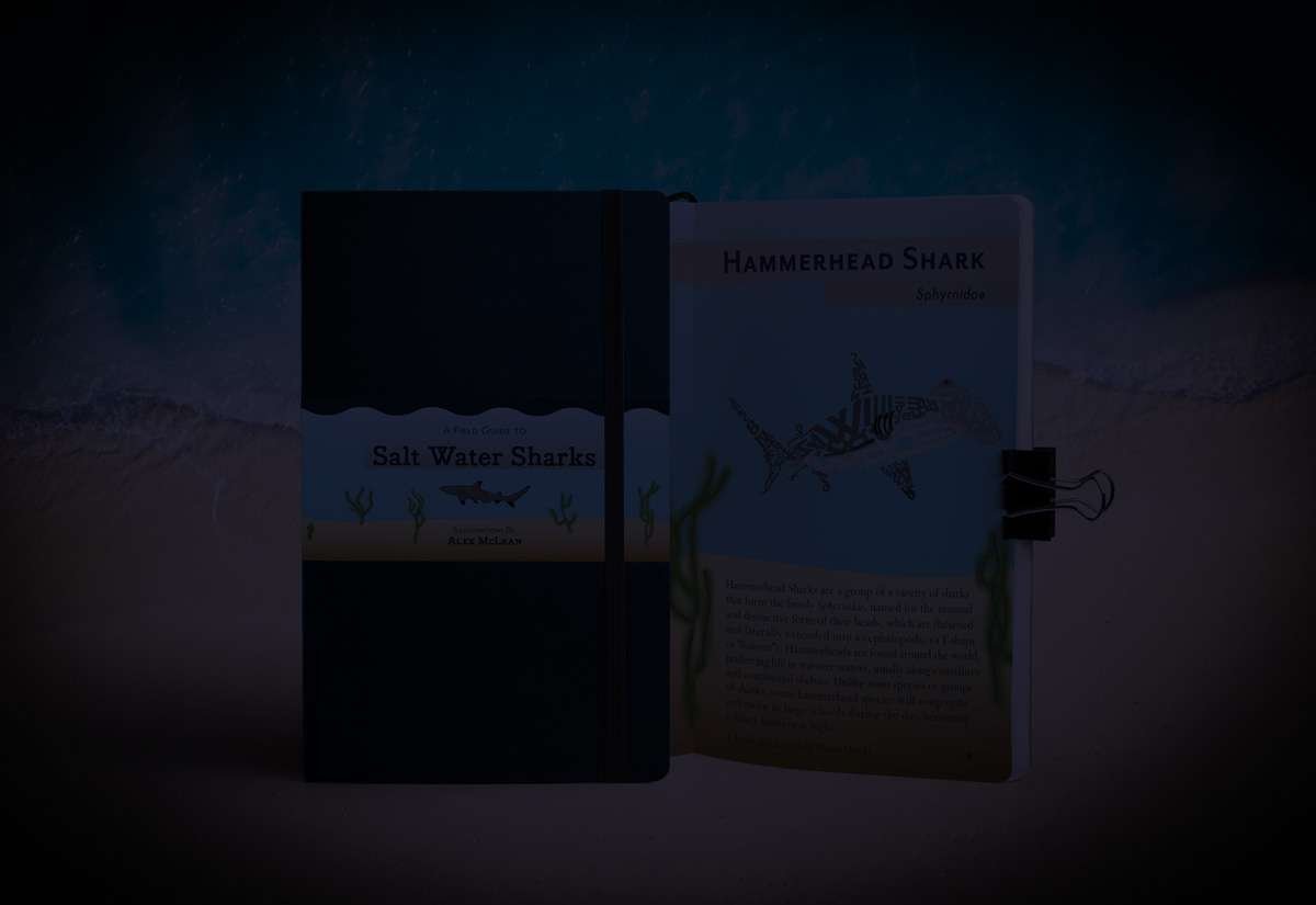 darkened mockup image for homepage slideshow