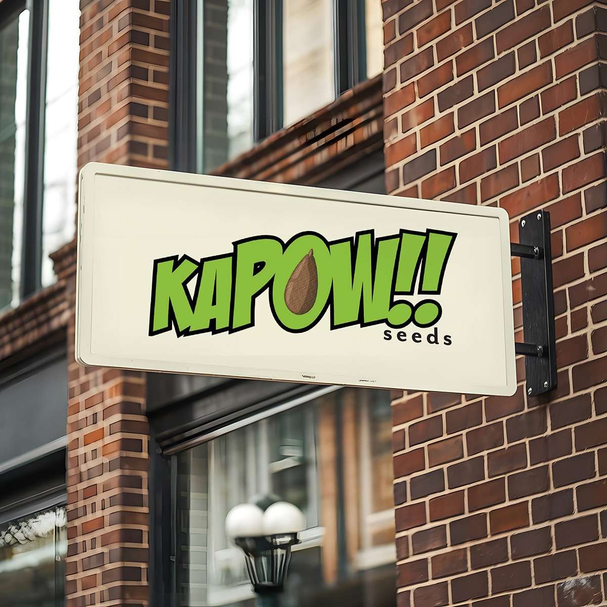 logo_sign KAPOW!! seeds logo on sign outside brick building